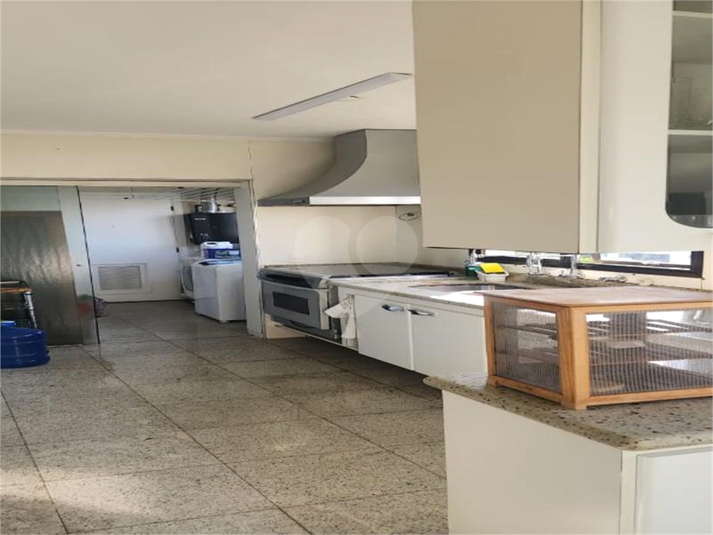 Foto REO1132624