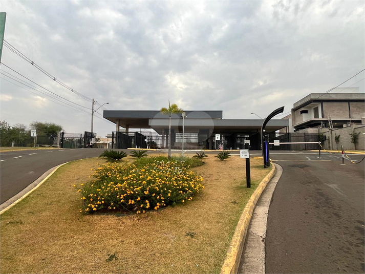 Foto REO1132626