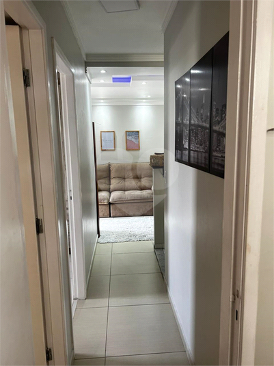 Foto REO1132645