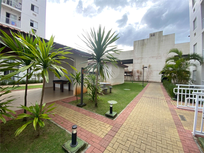 Foto REO1132652