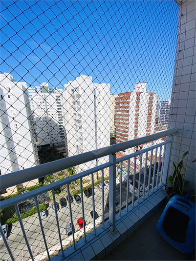 Foto REO1132652