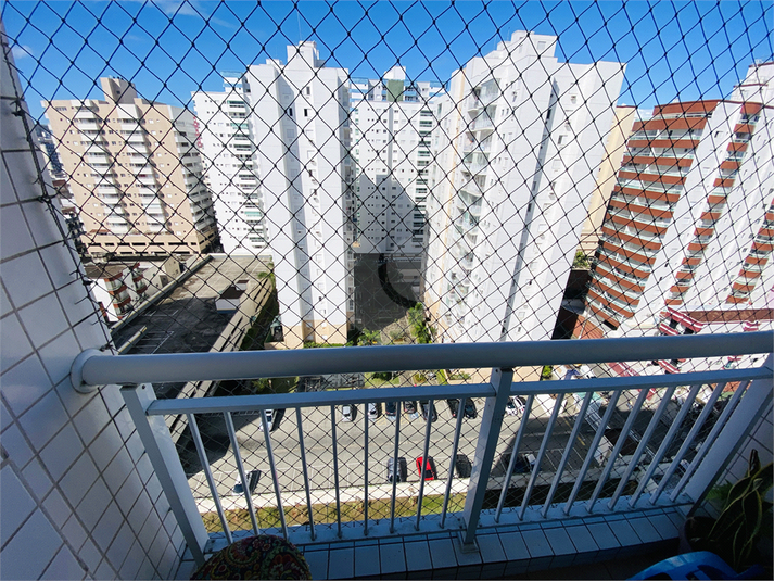 Foto REO1132652