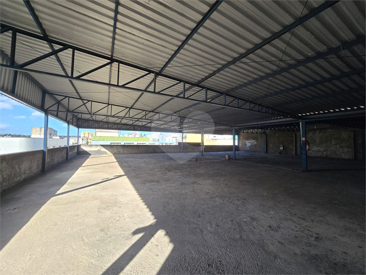 Foto REO1132657