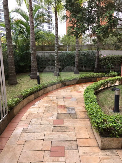 Foto REO1132658
