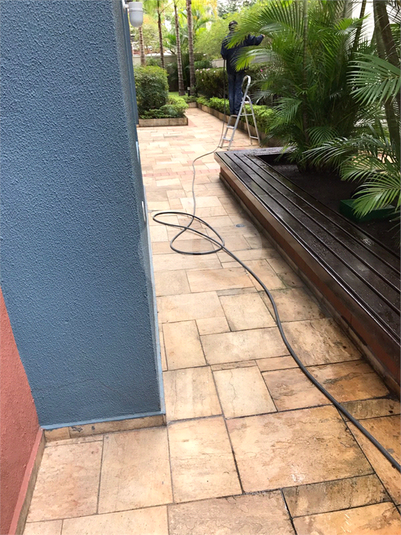 Foto REO1132658