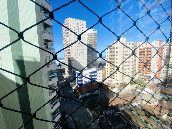 Foto REO1132660