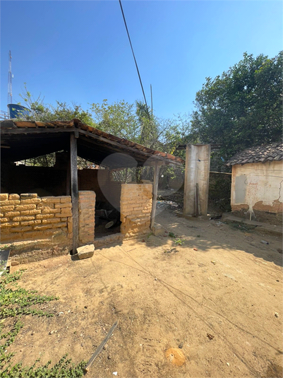 Foto REO1132661