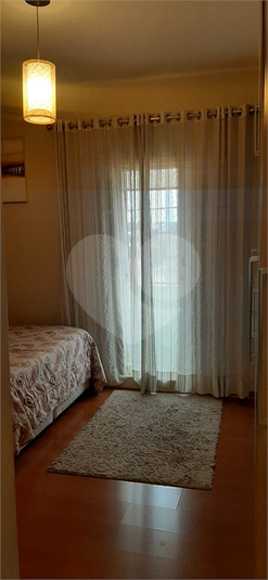 Foto REO1132666