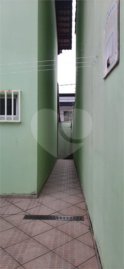 Foto REO1132666