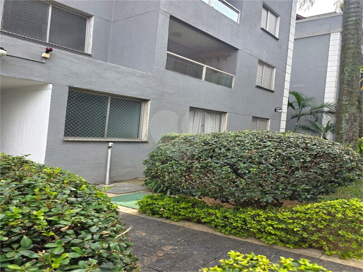 Foto REO1132667