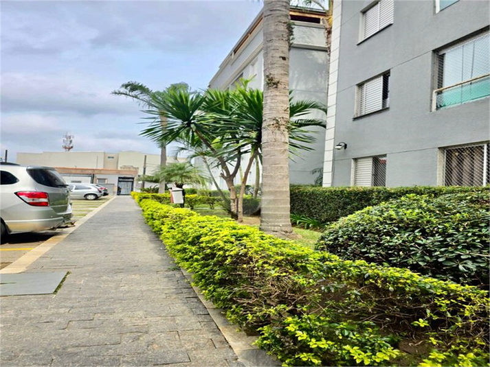 Foto REO1132667