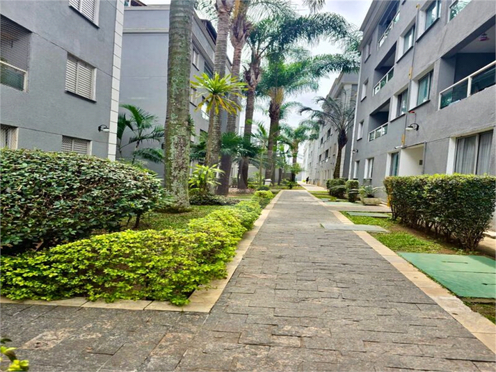 Foto REO1132667