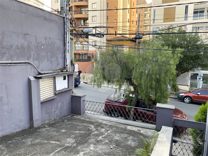 Foto REO1132676