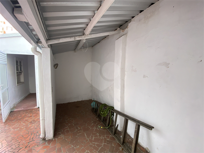 Foto REO1132676