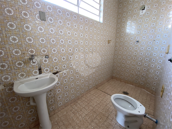 Foto REO1132676