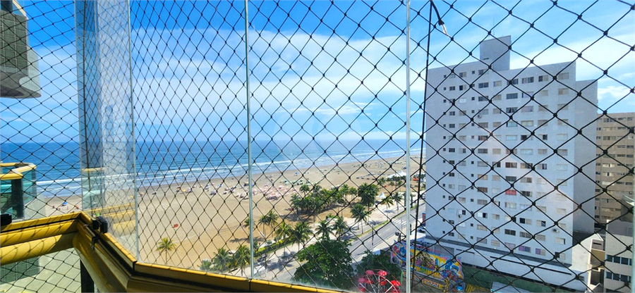 Foto REO1132687