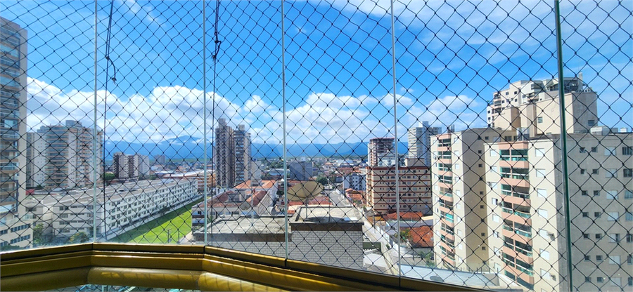Foto REO1132687