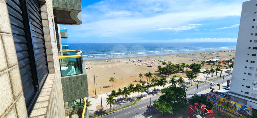 Foto REO1132687