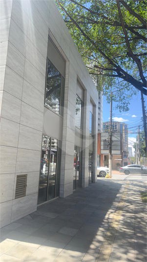 Foto REO1132690
