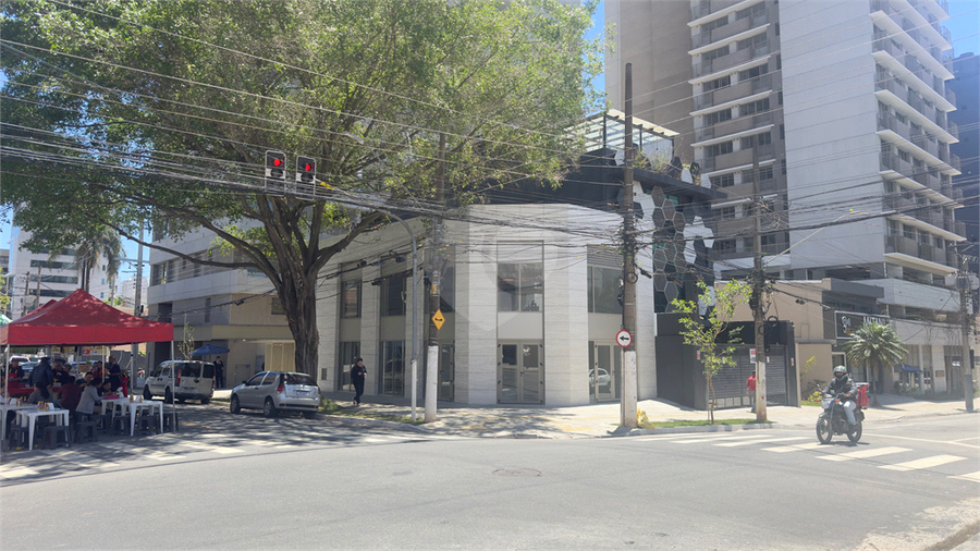Foto REO1132690