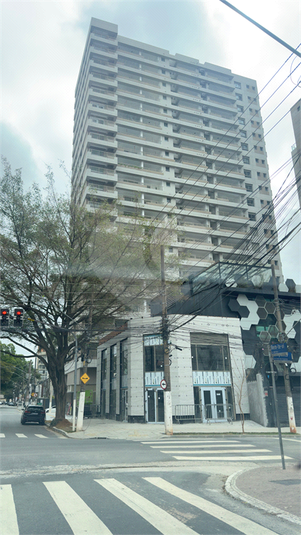 Foto REO1132690