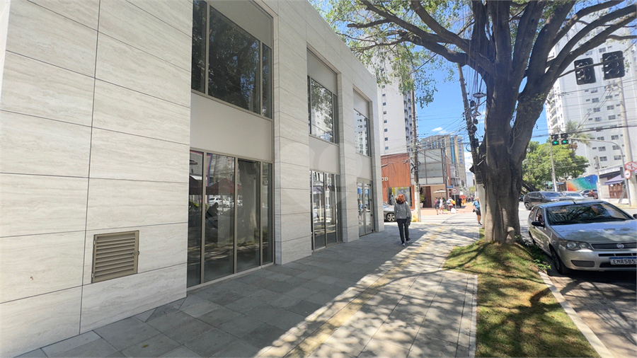 Foto REO1132690