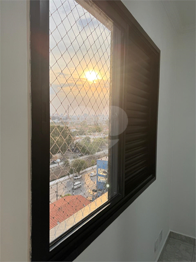 Foto REO1132696