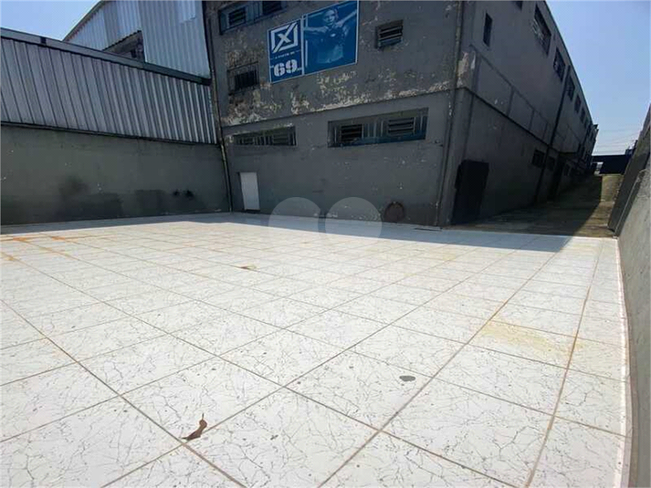 Foto REO1132699