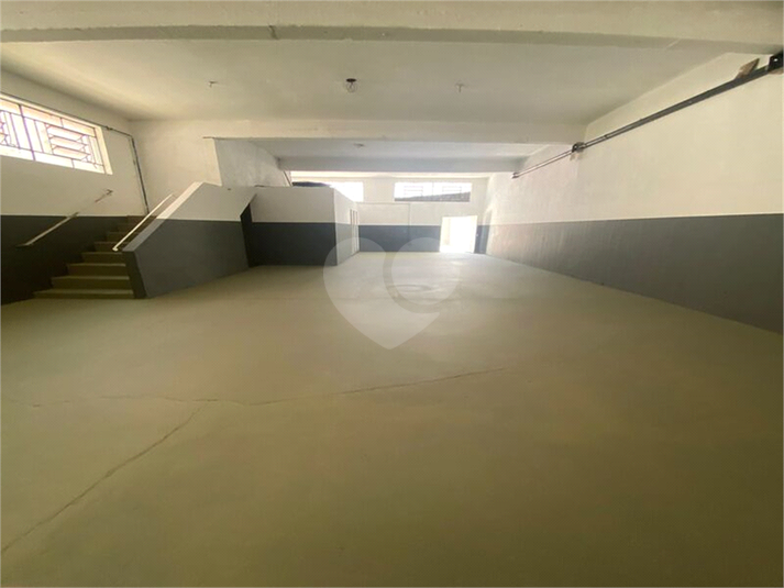 Foto REO1132699