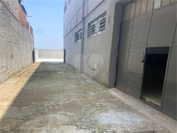 Foto REO1132699