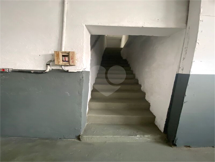 Foto REO1132699