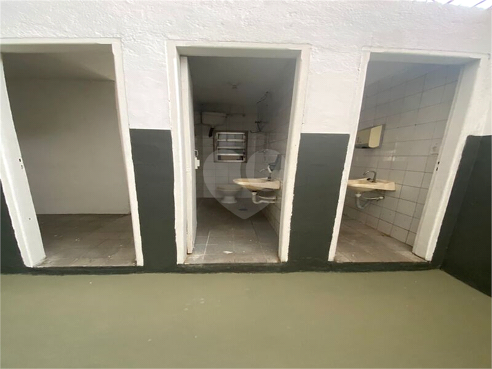 Foto REO1132699