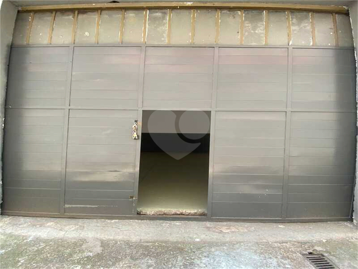 Foto REO1132699