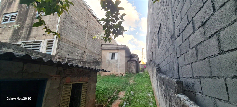 Foto REO1132704