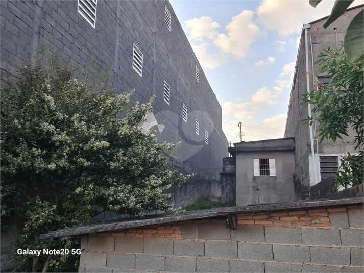 Foto REO1132704