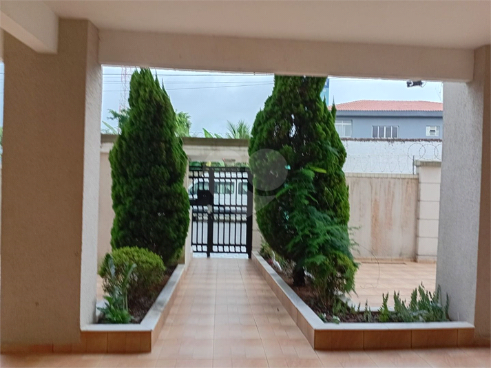 Foto REO1132728