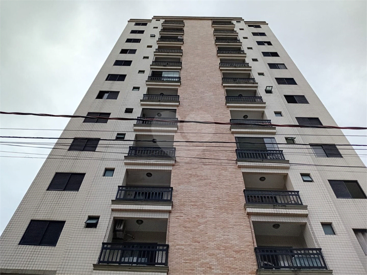 Foto REO1132728