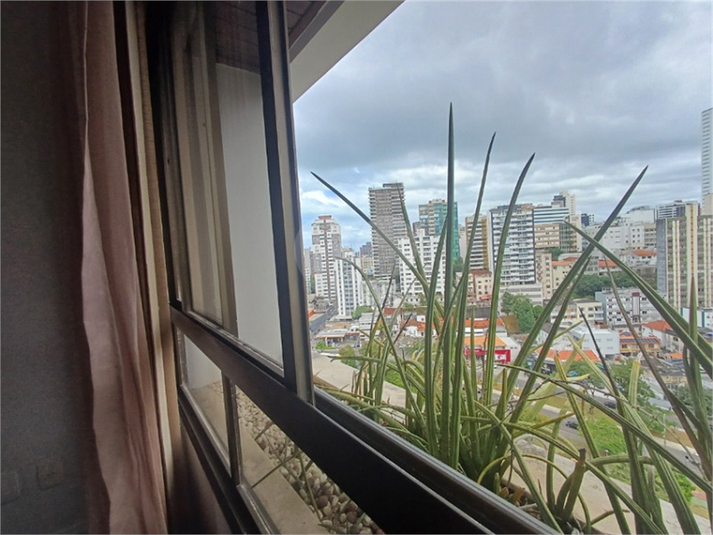 Foto REO1132733
