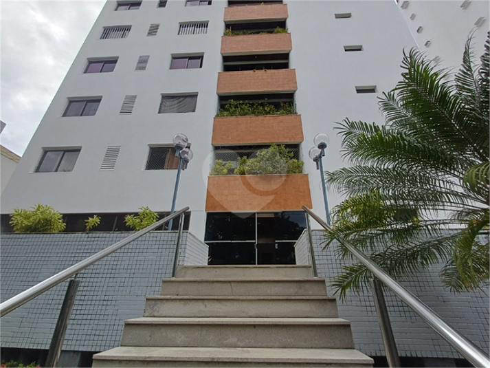 Foto REO1132733