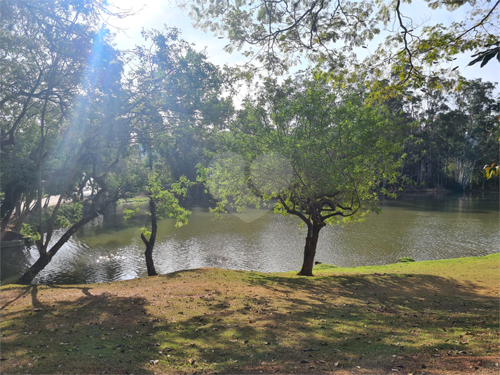 Foto REO1132747