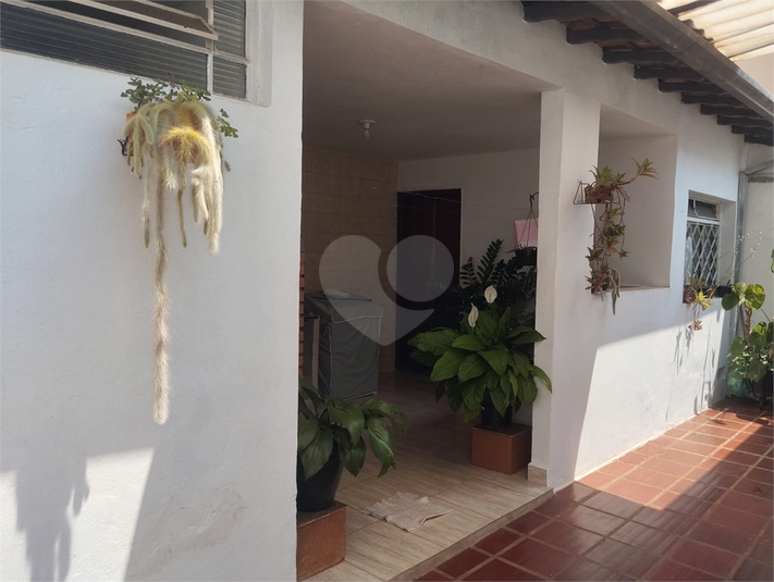 Foto REO1132760
