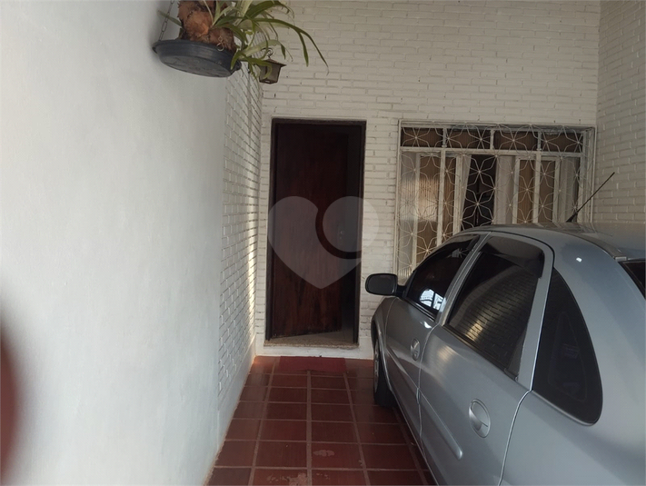 Foto REO1132760