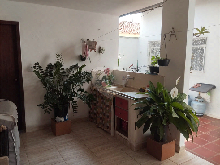 Foto REO1132760