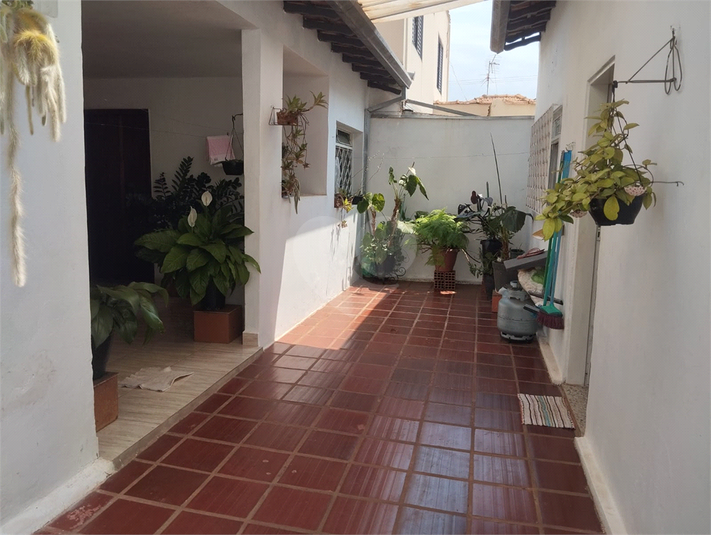 Foto REO1132760