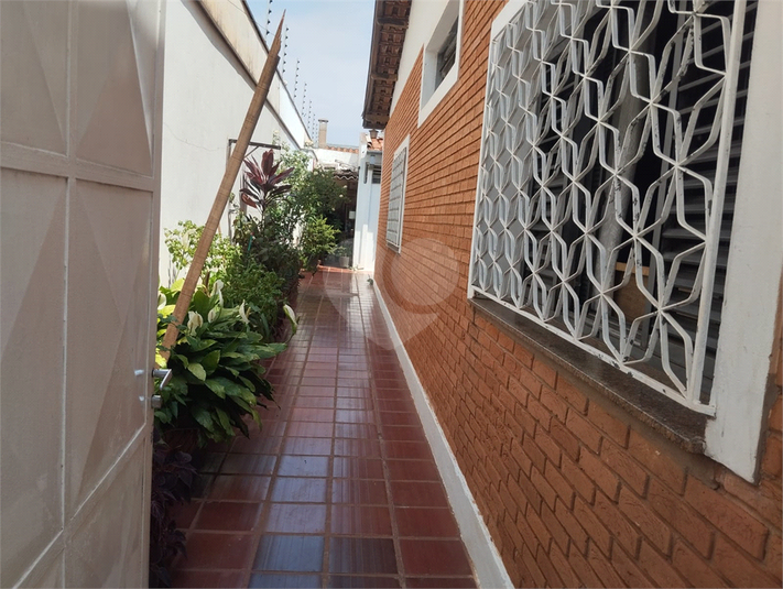 Foto REO1132760