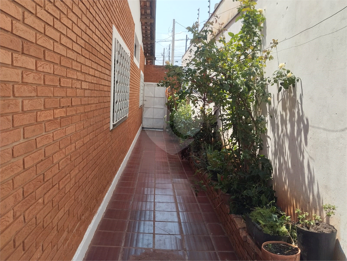 Foto REO1132760