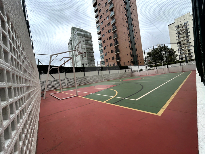 Foto REO1132762