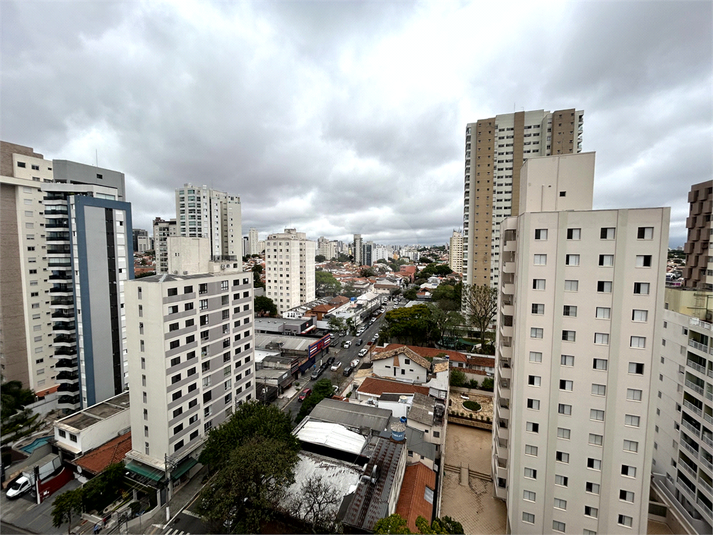 Foto REO1132762