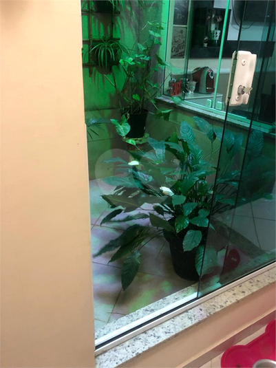 Foto REO1132774