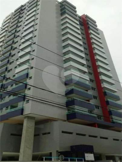 Foto REO1132775